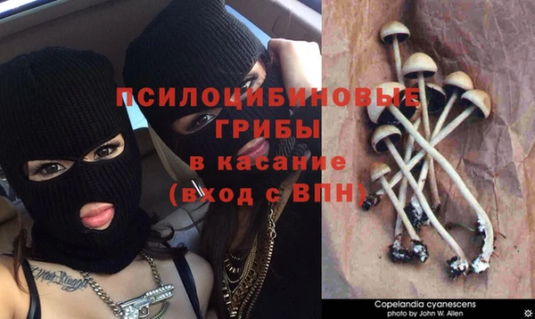 твердый Балабаново