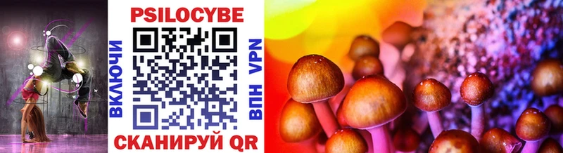 Галлюциногенные грибы Psilocybe  omg tor  Закаменск 
